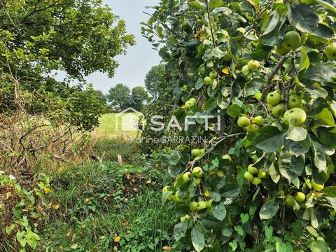 photo no. 16