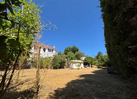 photo no. 12