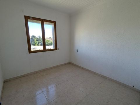 photo no. 11