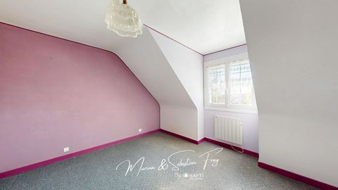 photo no. 11