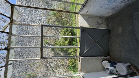 photo no. 1