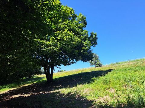 Terrain arboré - à la campagne