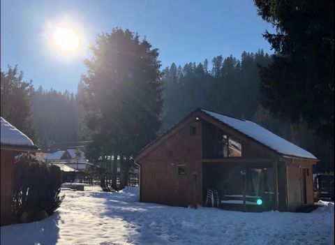 Gérardmer : Demi Chalet en duplex