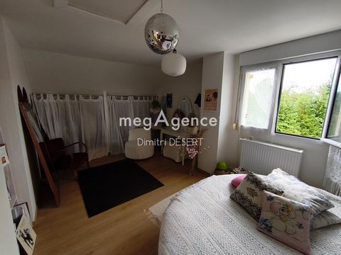 photo no. 11