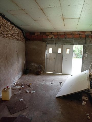 photo no. 8