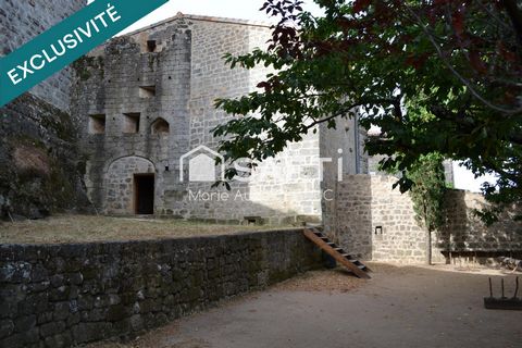 photo no. 10