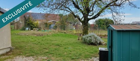 photo no. 11