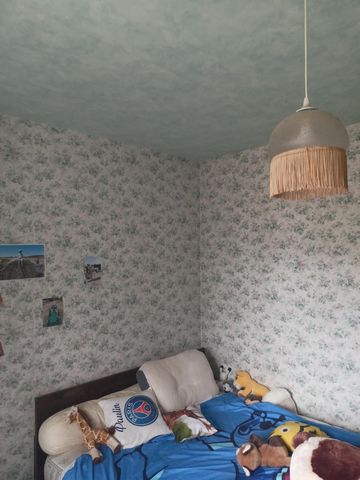 photo no. 7
