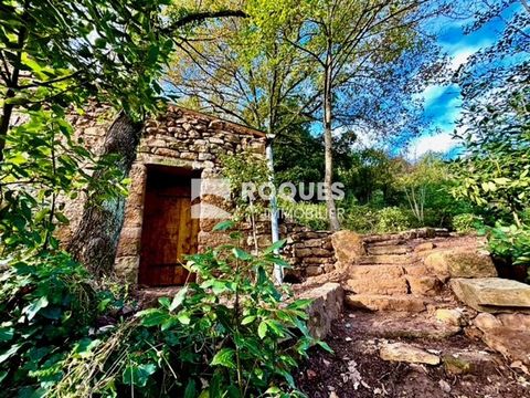 In de stad Lodève, stenen Mazet van 20 m2 op de grond op 3392 m2 bebost land, op planken en niet bebouwbaar, vrij uitzicht, hoofdblootstelling Oost, toegang voor voertuigen gemaakt, watermeter. Ideale kleine pied-à-terre