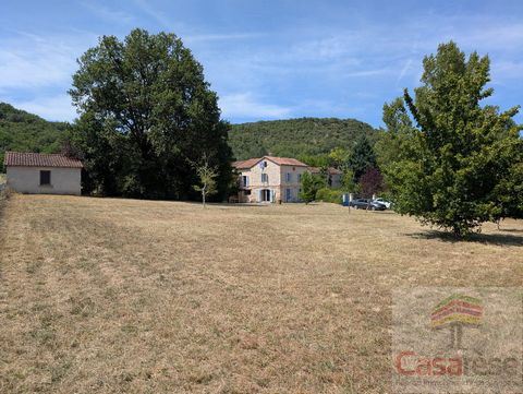 photo no. 15