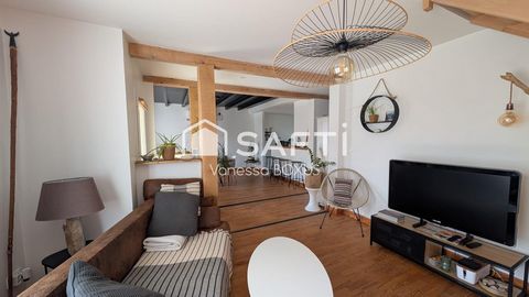 photo no. 13