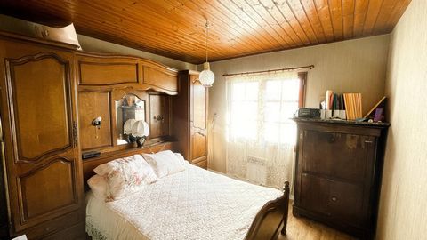 photo no. 7