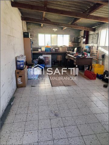 photo no. 12