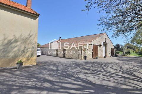 photo no. 12