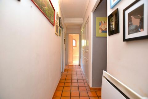 photo no. 12