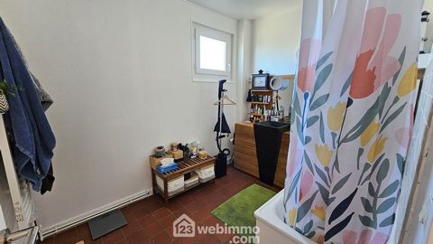 photo no. 17