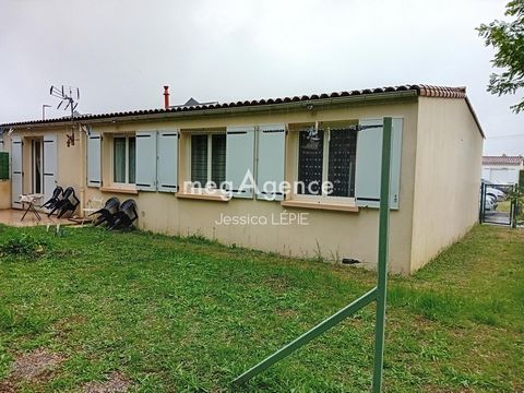 photo no. 10