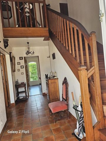 photo no. 12