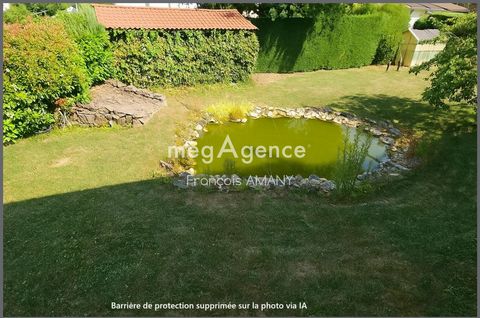 photo no. 11