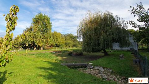 photo no. 19
