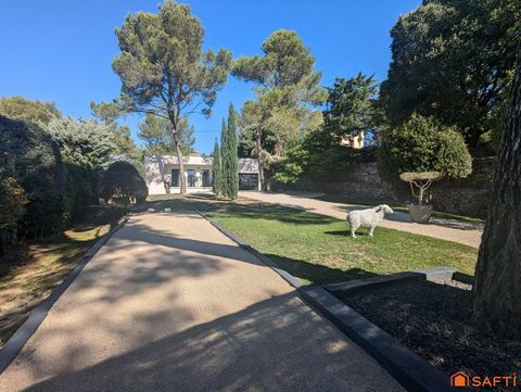 photo no. 18
