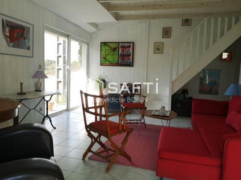 photo no. 9