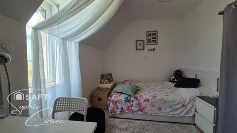 photo no. 11