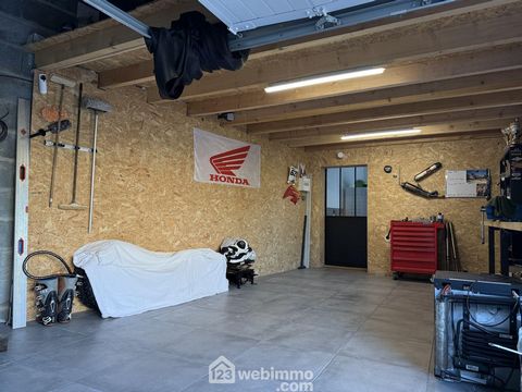 photo no. 11