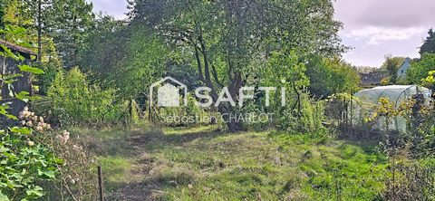 photo no. 9