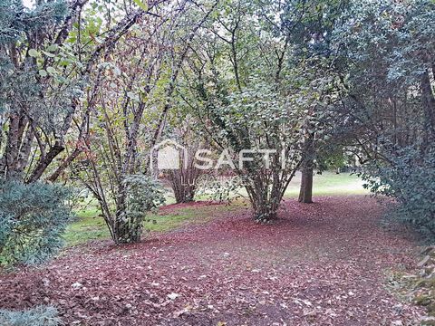 photo no. 13