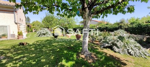 photo no. 10
