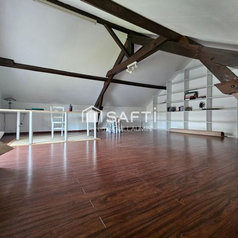 photo no. 11