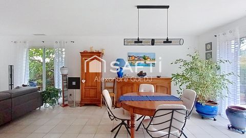 photo no. 3