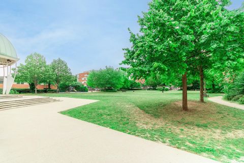 photo no. 13