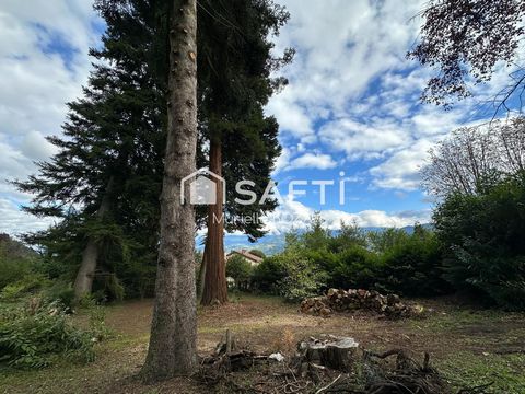 photo no. 2