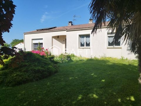 photo no. 9