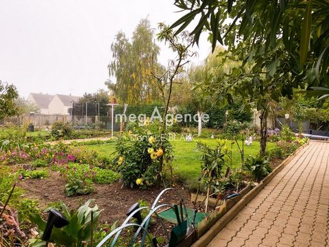 photo no. 9