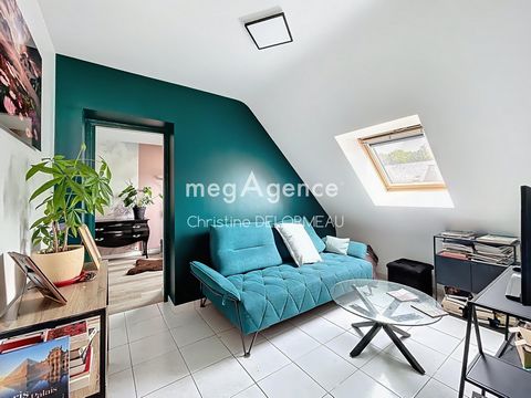 photo no. 8