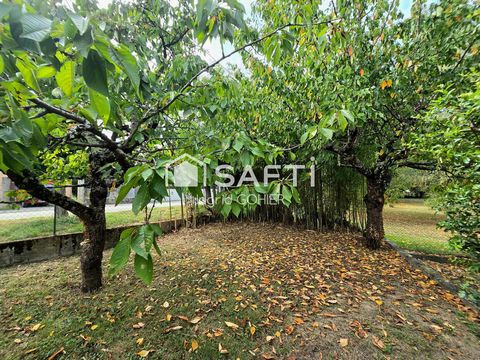photo no. 13