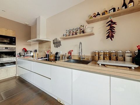 photo no. 8