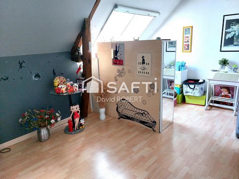 photo no. 5