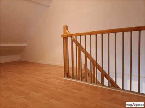 photo no. 11