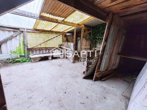 photo no. 9