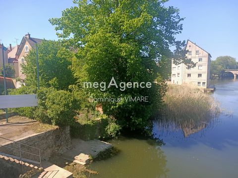 photo no. 8
