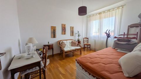 photo no. 13