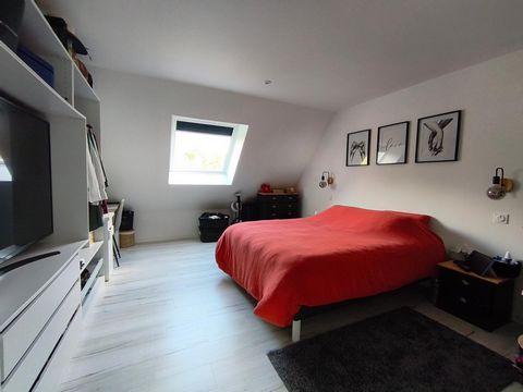 photo no. 11