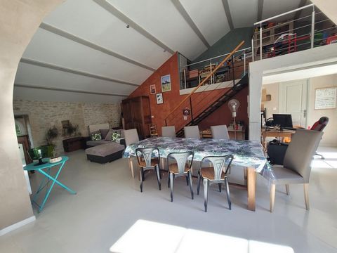 photo no. 6