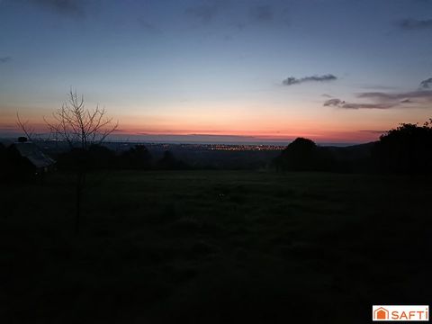 photo no. 11