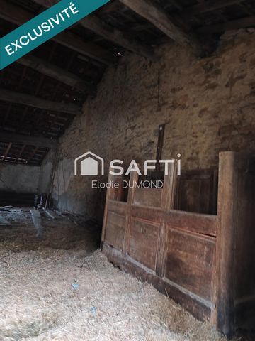 photo no. 15