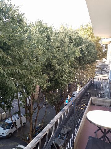 photo no. 2